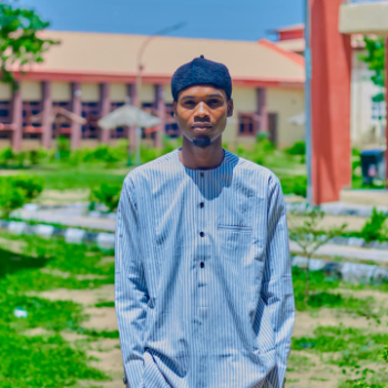 Ibrahim Bishir Bala